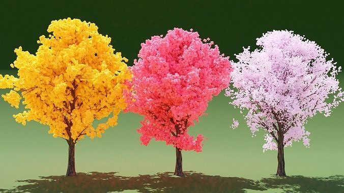 3 Colorful Trees 3D model