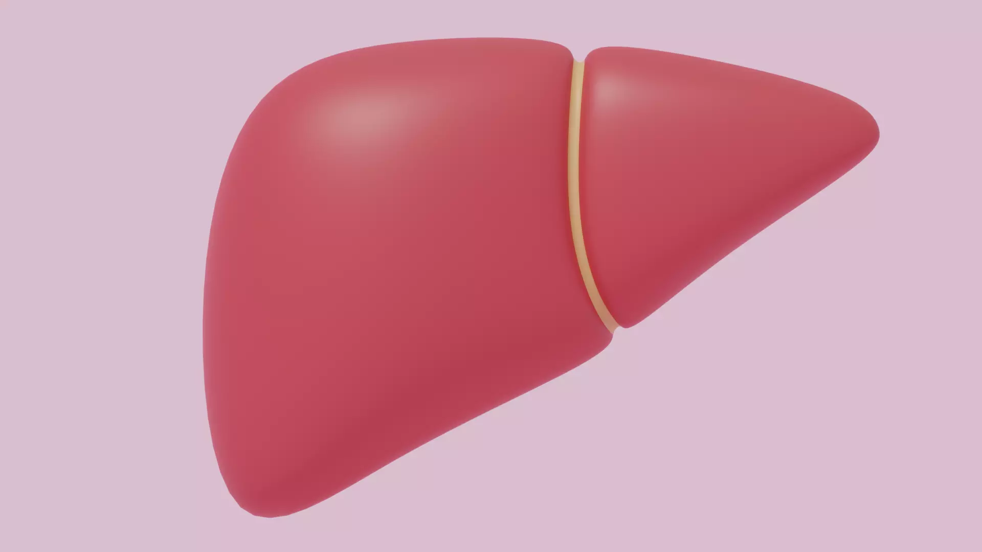 Cartoon Liver Stylized 3D model