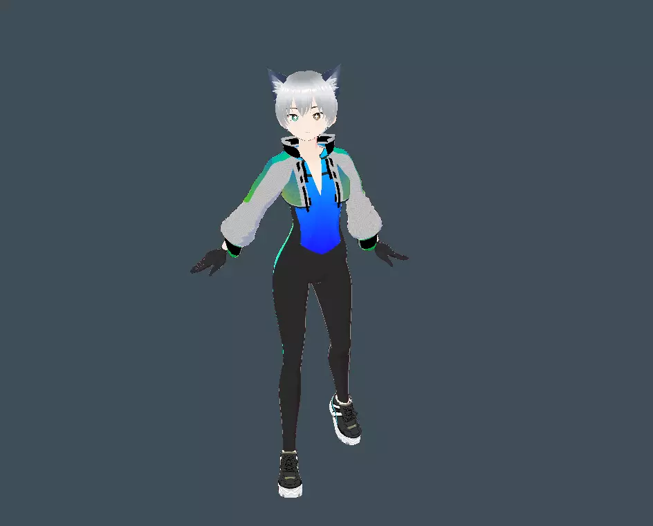 vroid studio cute wolf girl anime 3D character Low-poly 3D model