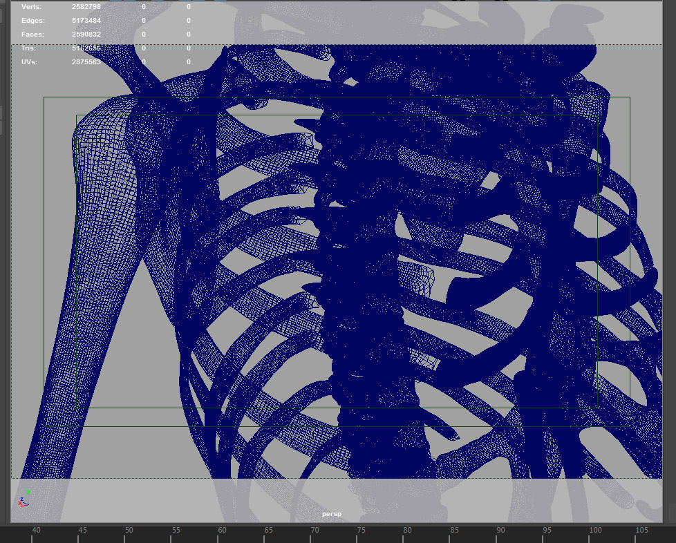 HighPoly Skeleton human 3D model_14