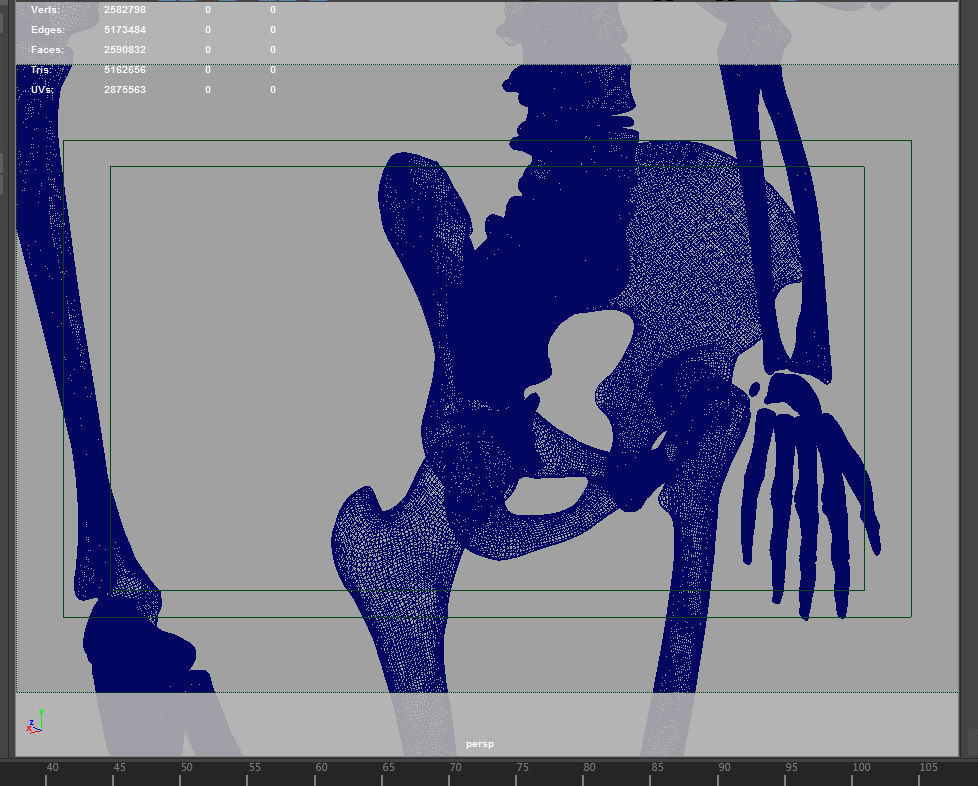 HighPoly Skeleton human 3D model_13