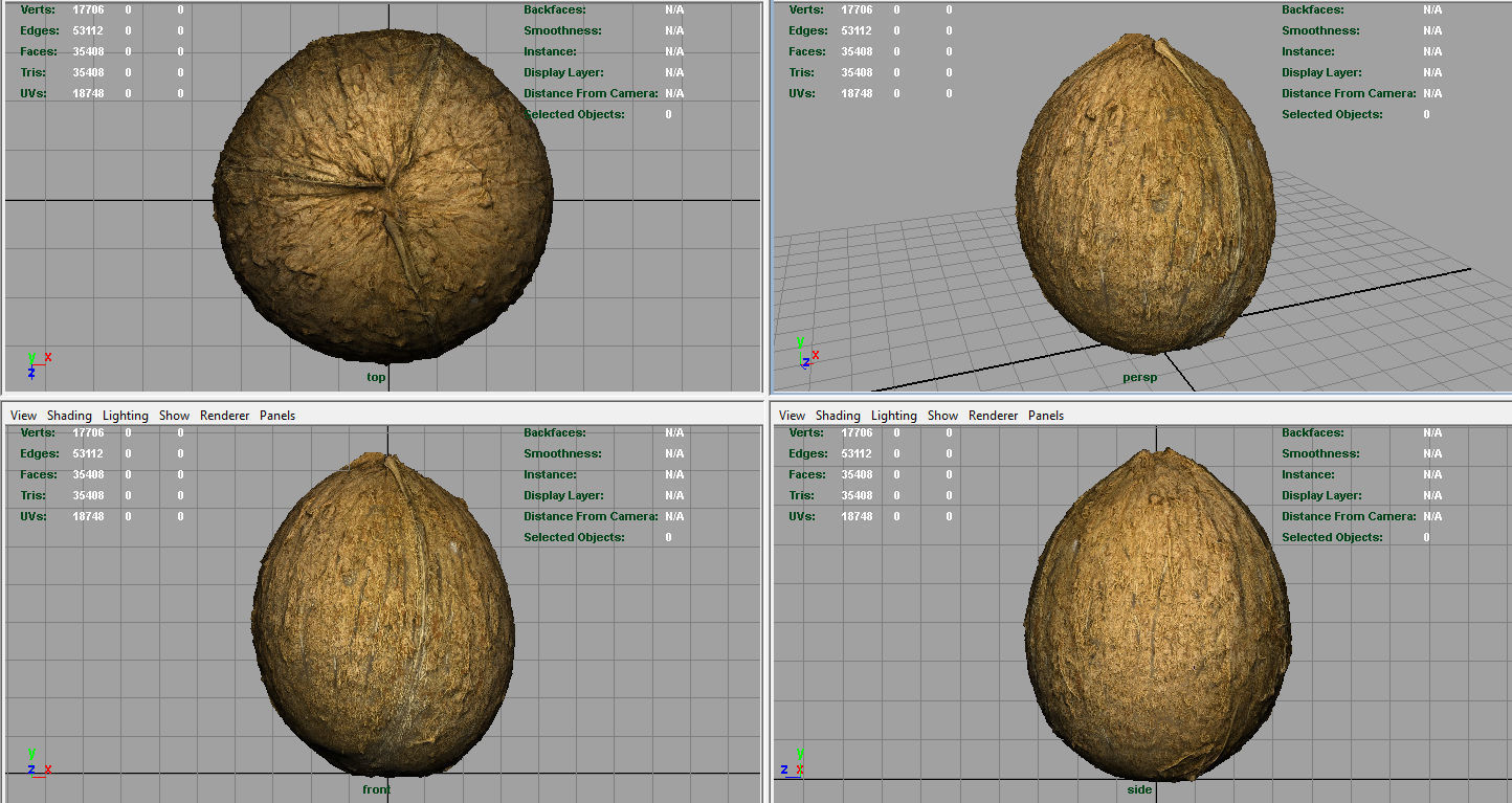 Coconut Low-poly 3D model_10
