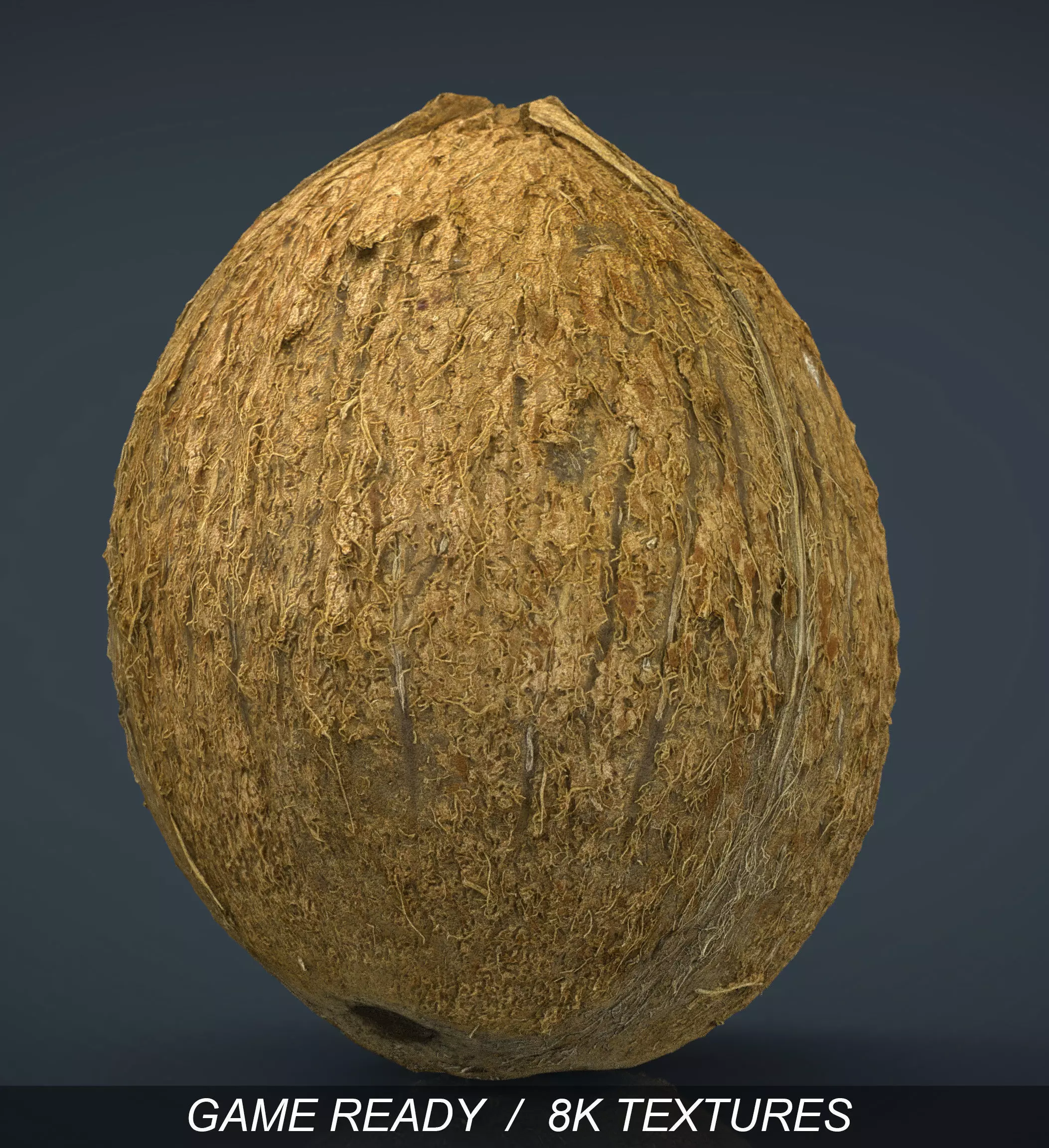 Coconut Low-poly 3D model_0