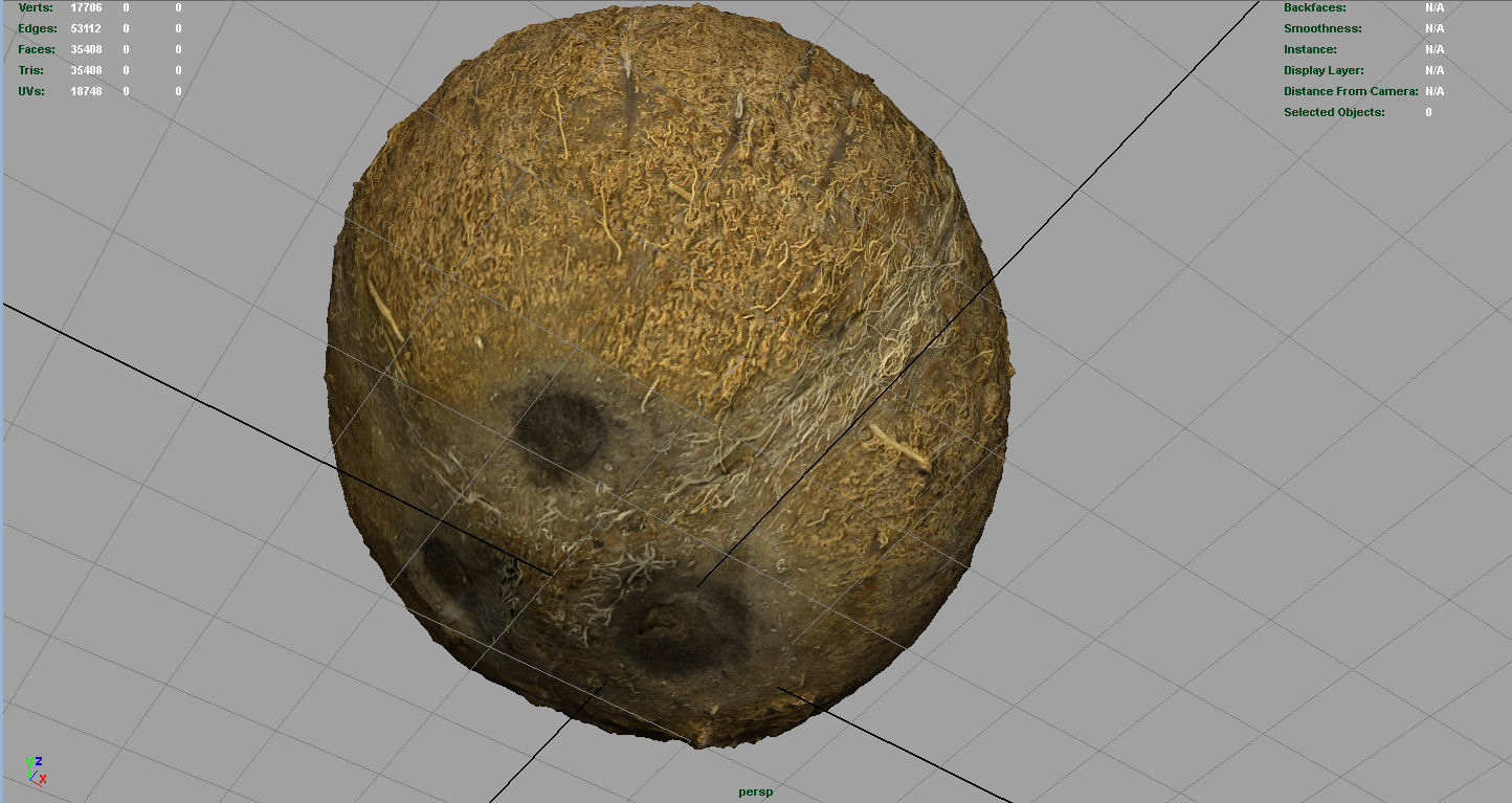 Coconut Low-poly 3D model_9