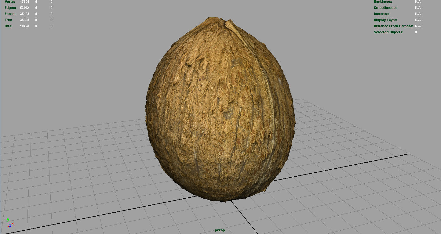 Coconut Low-poly 3D model_3