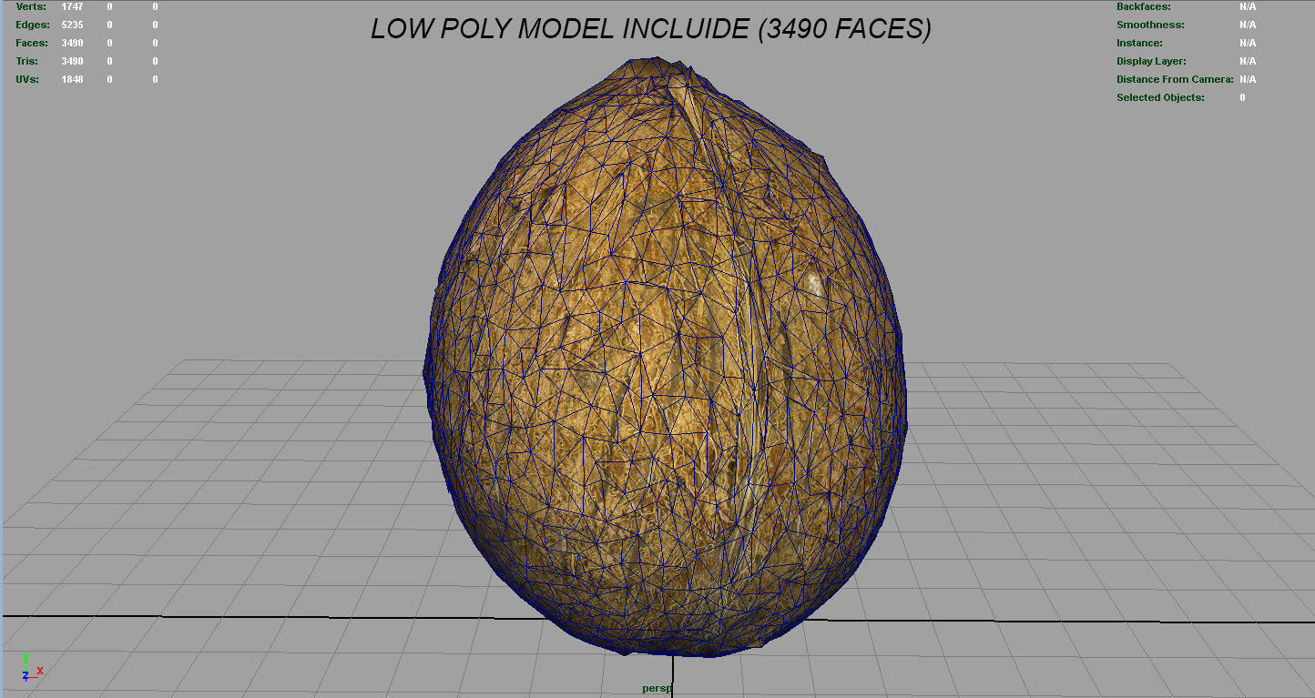 Coconut Low-poly 3D model_11
