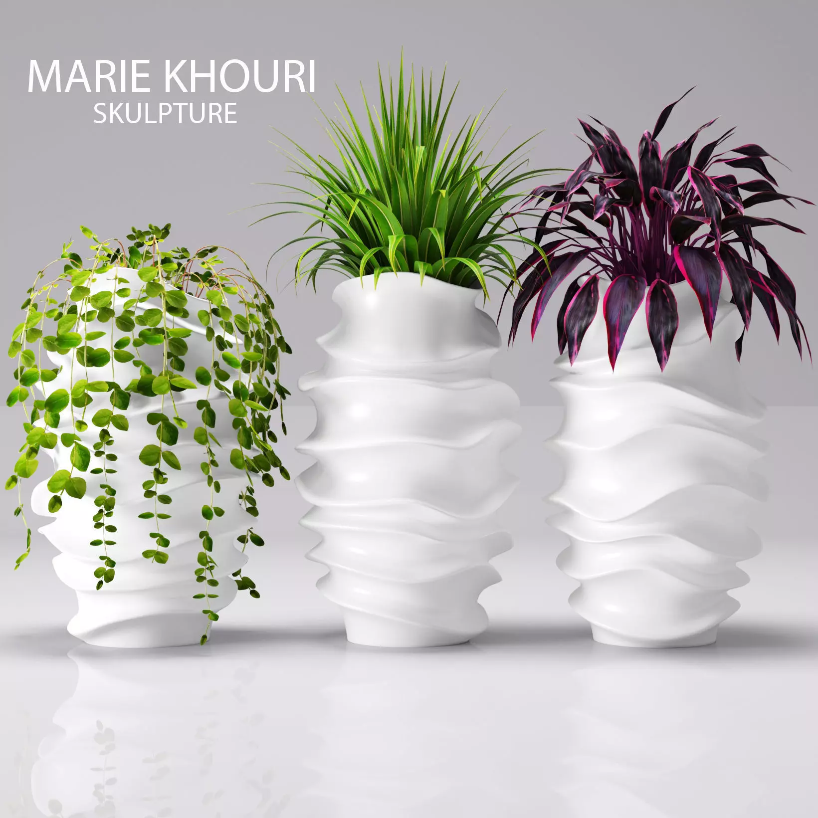 Collection of plants in pots 1 3D model