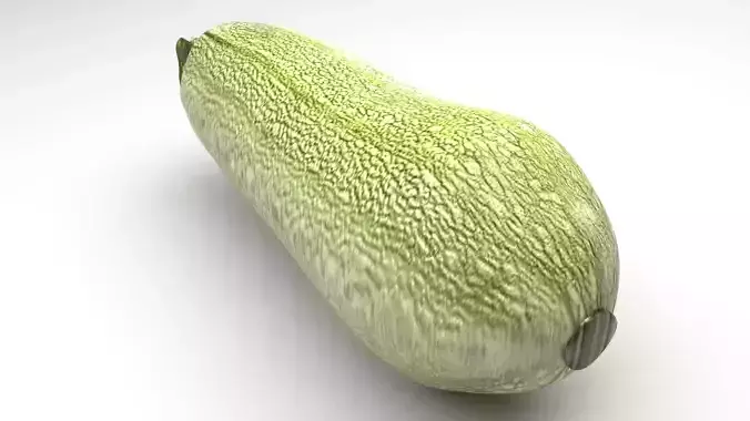 Grey Zucchini 3D model