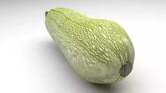 Grey Zucchini 3D model 5