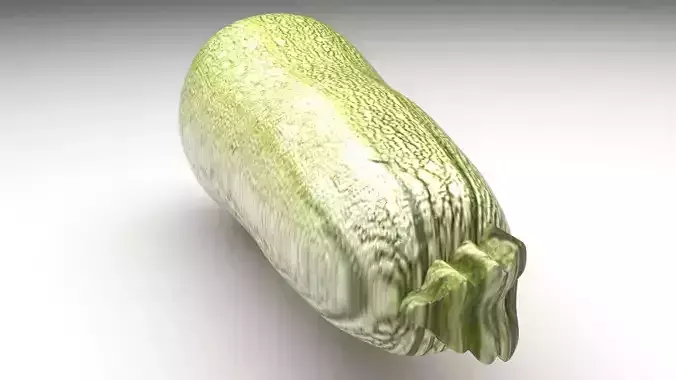 Grey Zucchini 3D model 3