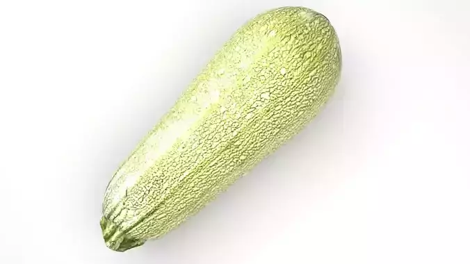Grey Zucchini 3D model 4