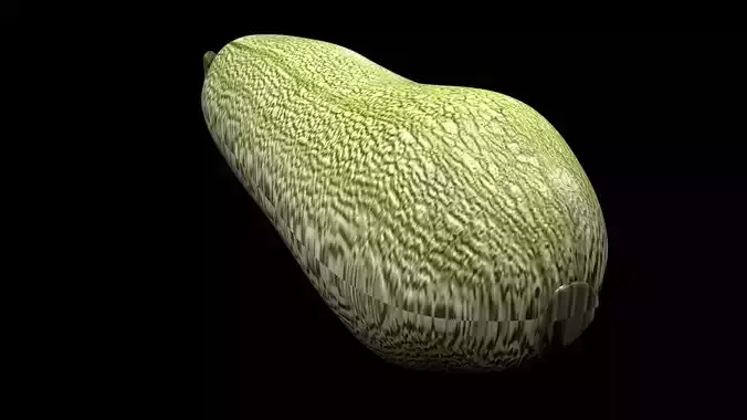 Grey Zucchini 3D model 7