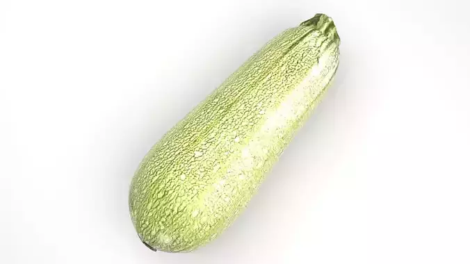 Grey Zucchini 3D model 2
