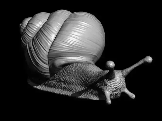 Snail 3D printable 3D print model