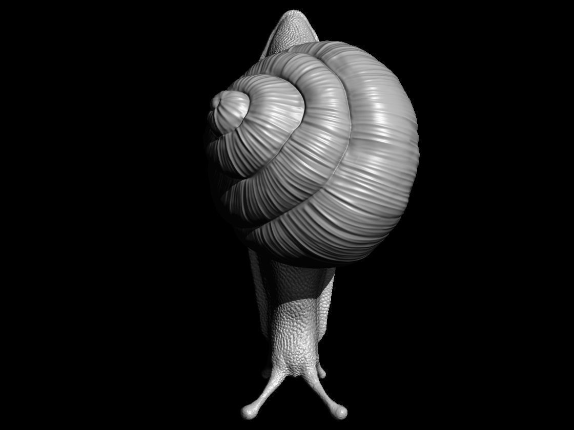Snail 3D printable 3D print model_3
