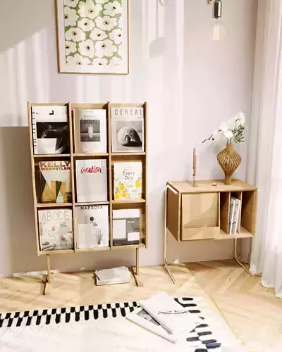 3D model of a floor-standing magazine bookshelf 3D model