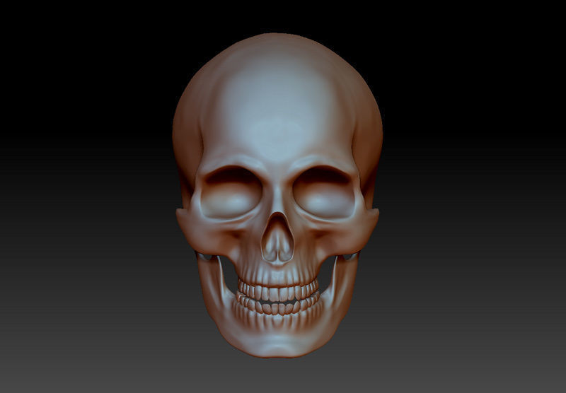 Separate anatomically correct human skull in natural size 3D print model_2