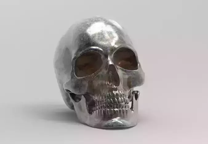 Separate anatomically correct human skull in natural size