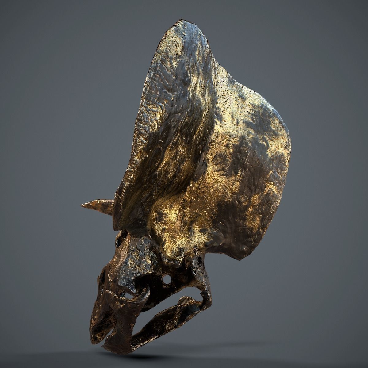 Triceratops Golden Skull Low-poly 3D model_6