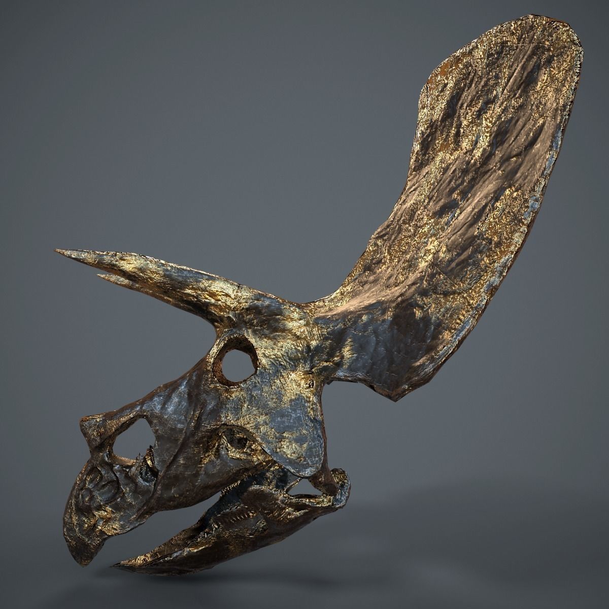 Triceratops Golden Skull Low-poly 3D model_11