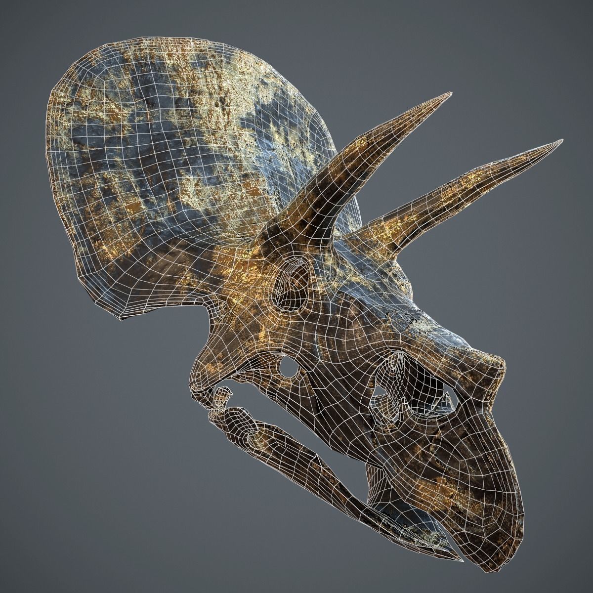 Triceratops Golden Skull Low-poly 3D model_12