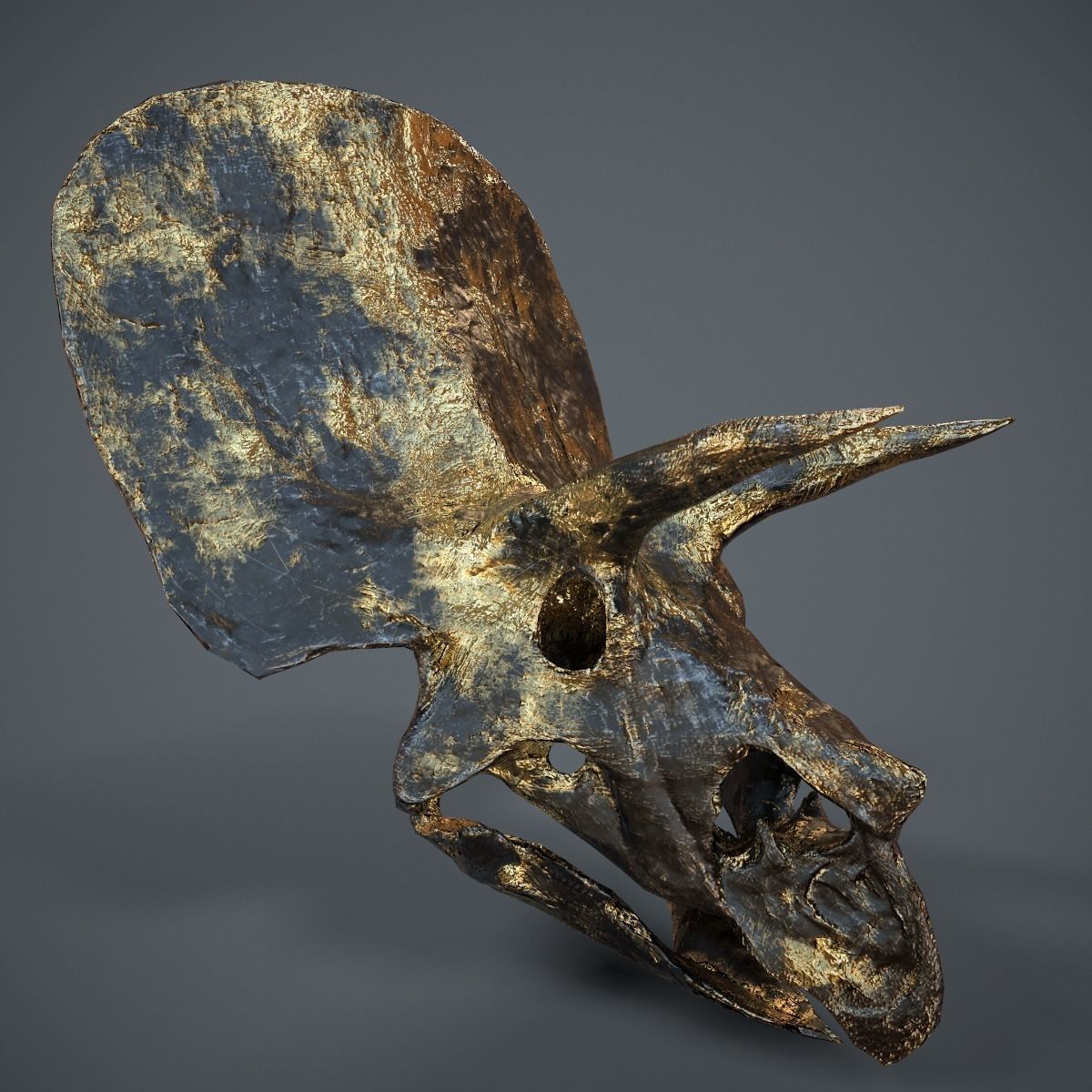 Triceratops Golden Skull Low-poly 3D model_7