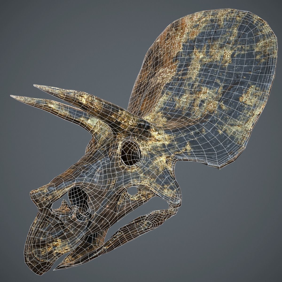 Triceratops Golden Skull Low-poly 3D model_2