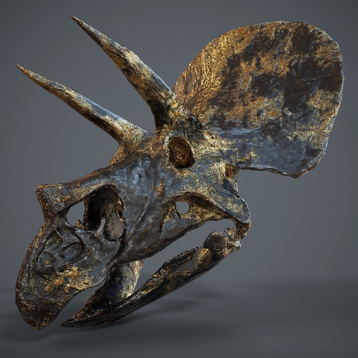 Triceratops Golden Skull Low-poly 3D model_8