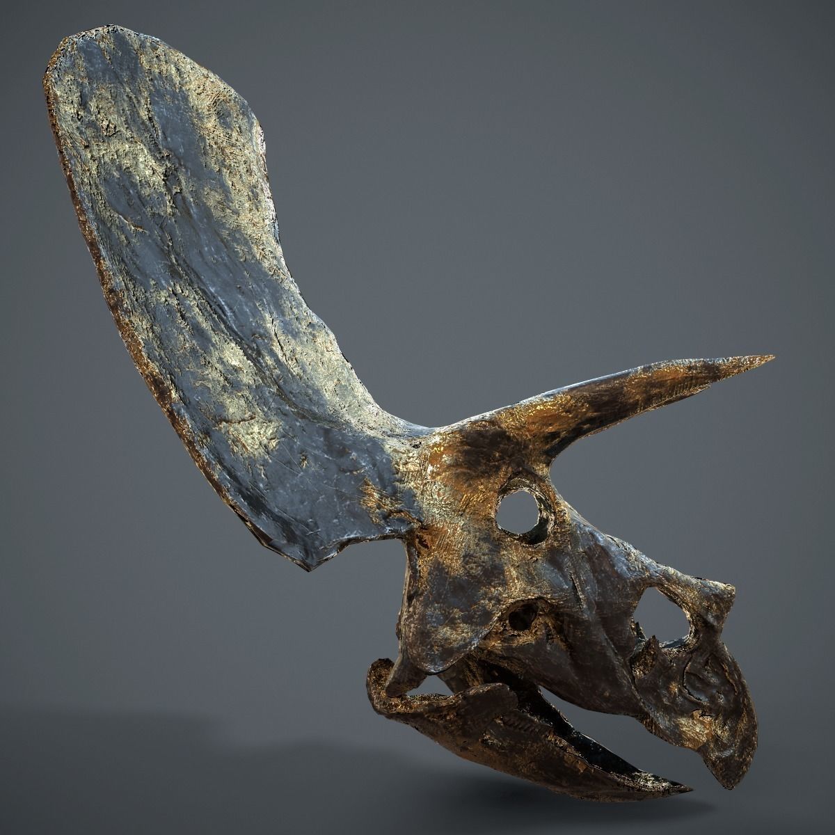 Triceratops Golden Skull Low-poly 3D model_10