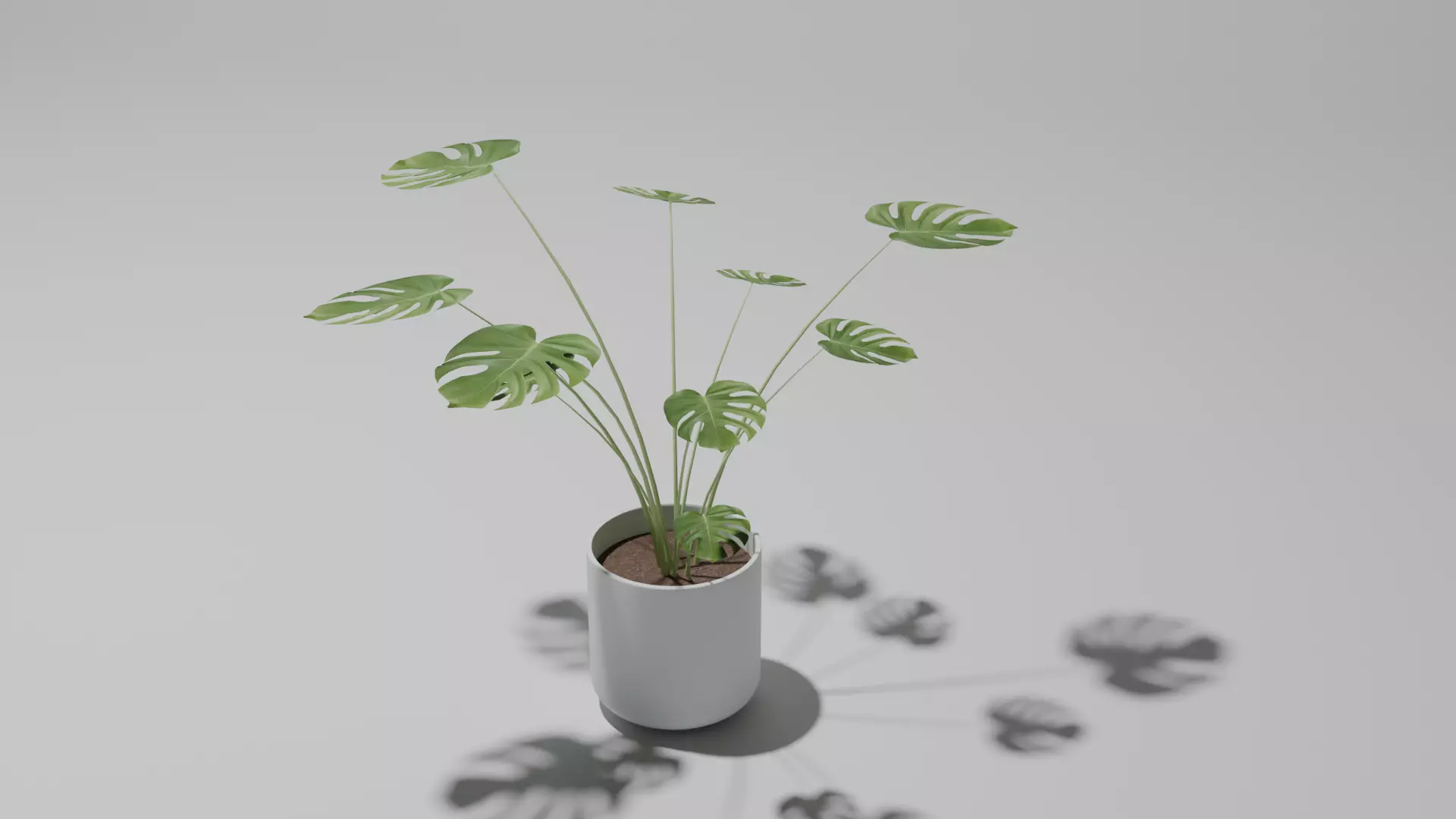 Philodendron plant in a pot 3D model