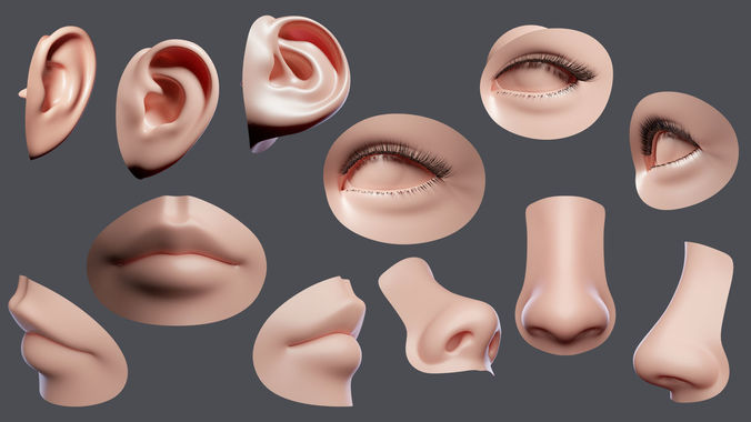 facial element obj Low-poly 3D model