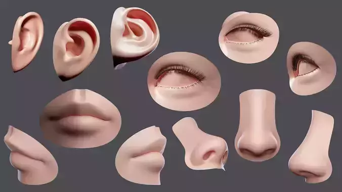 facial element obj Low-poly 3D model