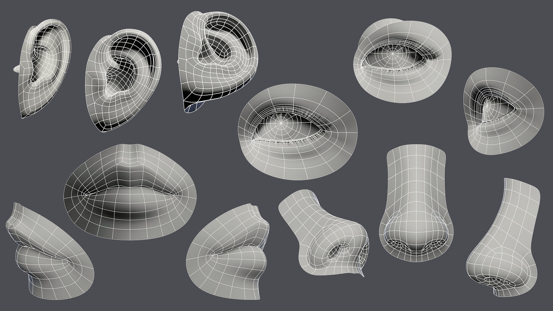facial element obj Low-poly 3D model_1
