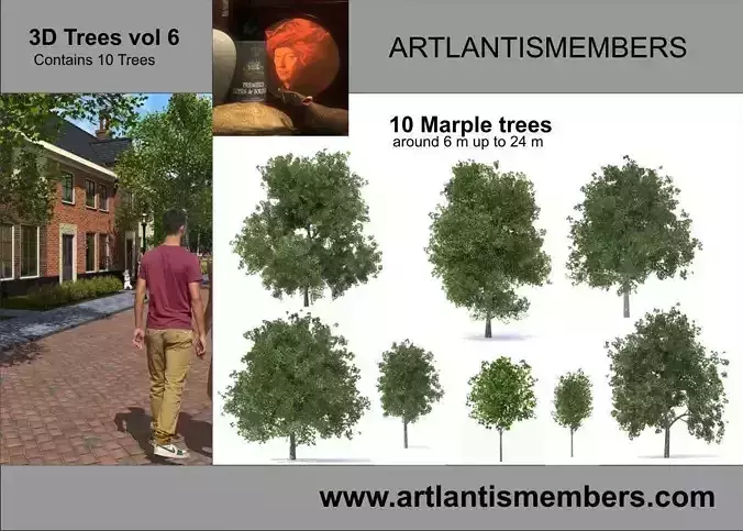 trees vol  6 3D model