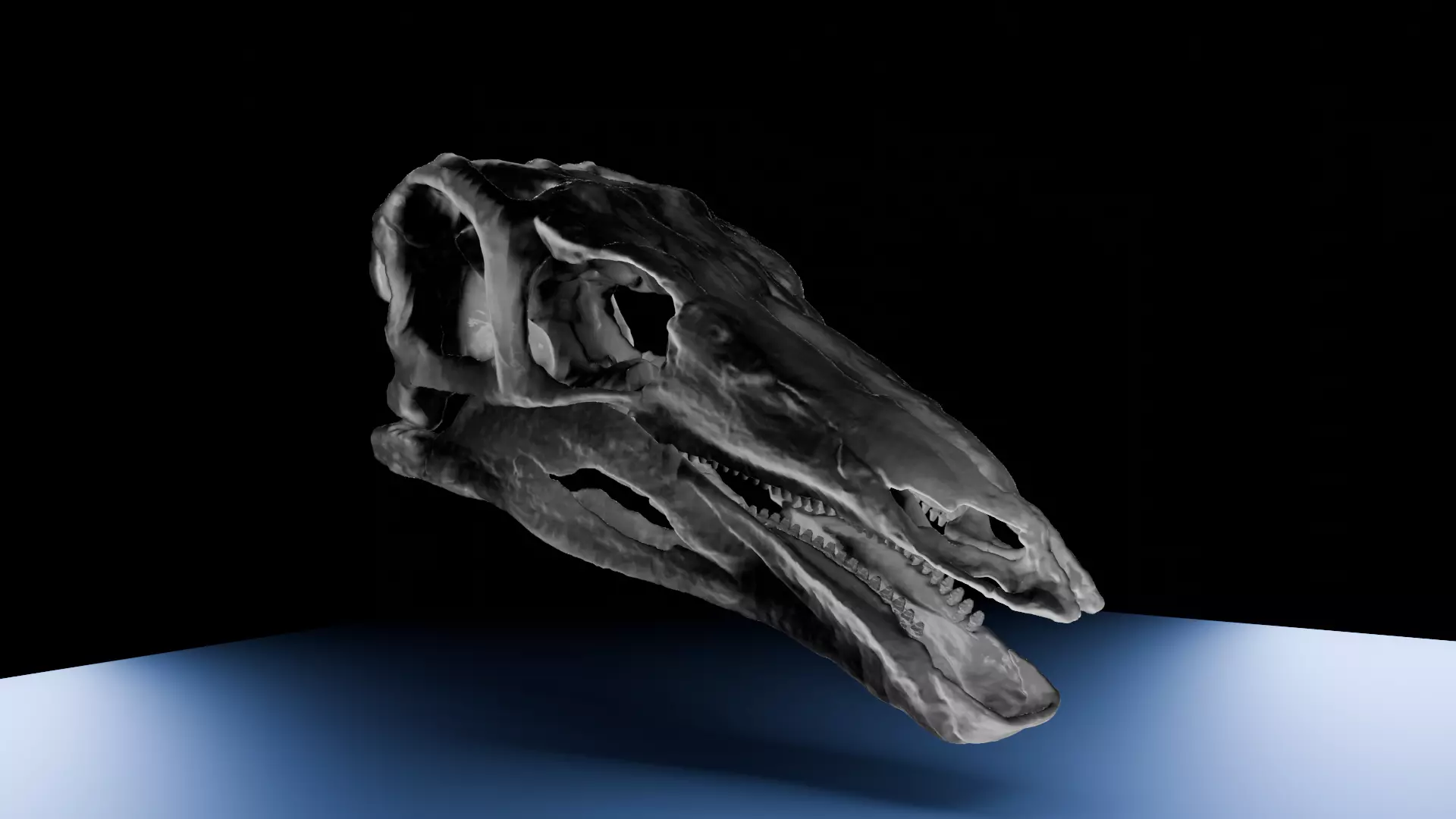 Stegosaurus Stenops Digitally Restored Skull 3D Model 3D model
