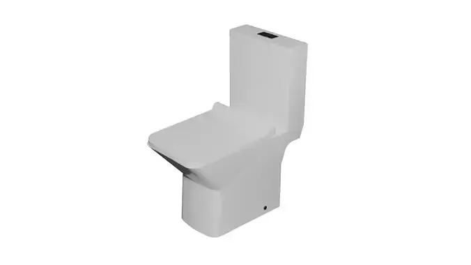 Toilet - White and Black - Lift