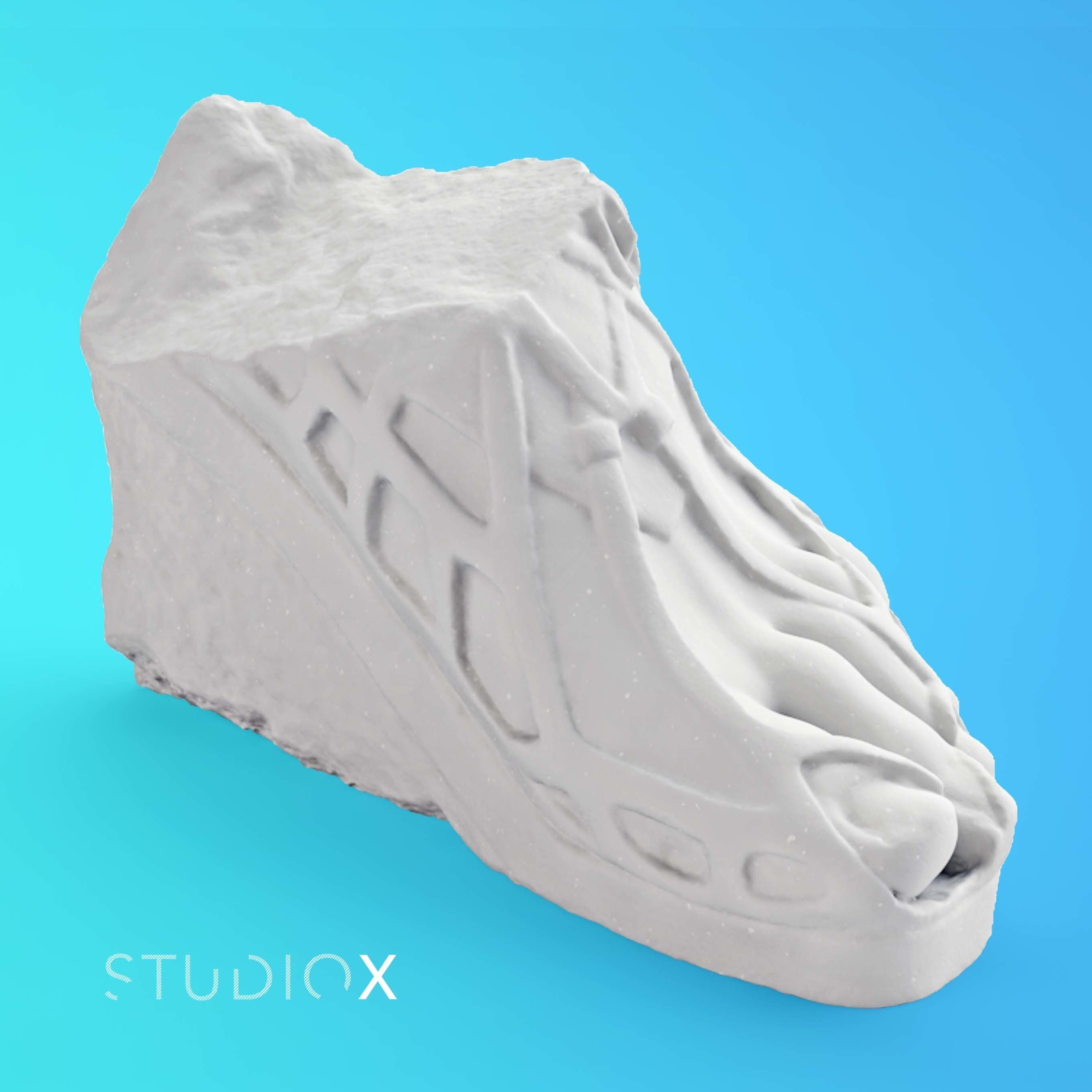 COLOSSAL FOOT 3D print model_1