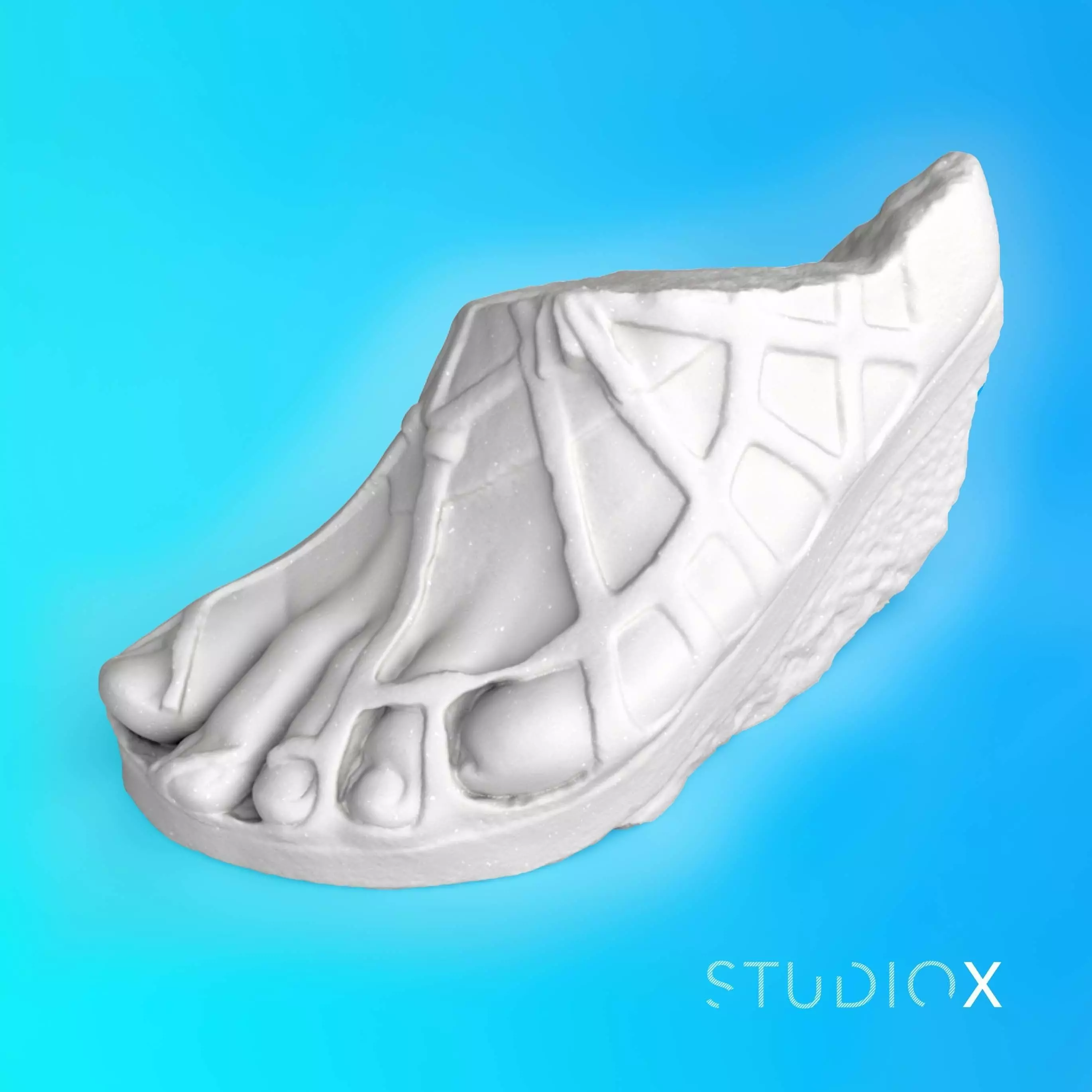 COLOSSAL FOOT 3D print model_0