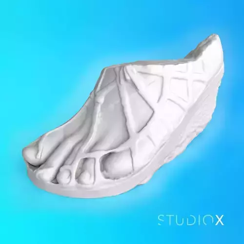 COLOSSAL FOOT 3D print model