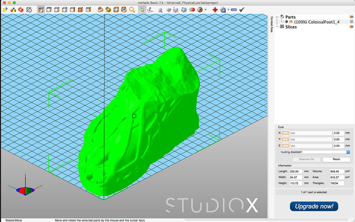COLOSSAL FOOT 3D print model_12