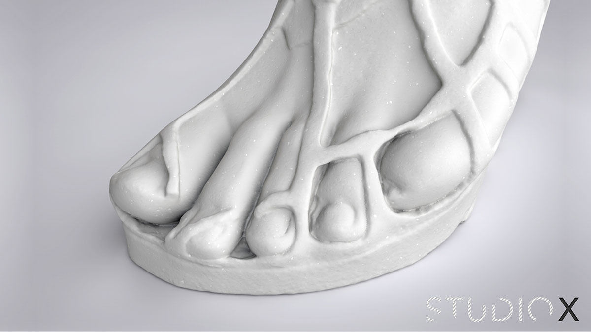 COLOSSAL FOOT 3D print model_6