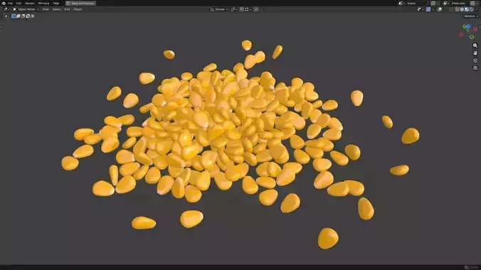 Corn Kernel PBR Low-poly 3D model 6