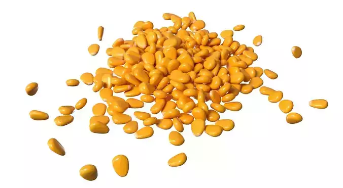 Corn Kernel PBR Low-poly 3D model 3