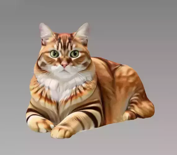 Domestic Cat 3D model