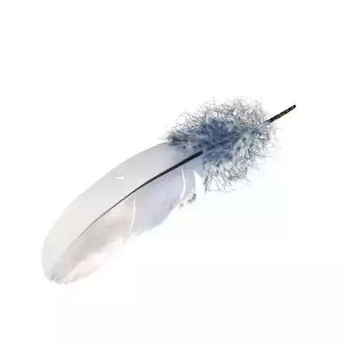 Feather Low-poly 3D model