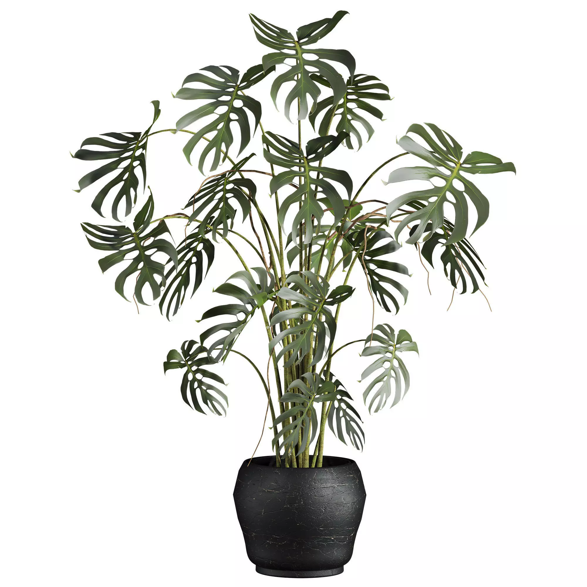 monstera potted plant 3D model