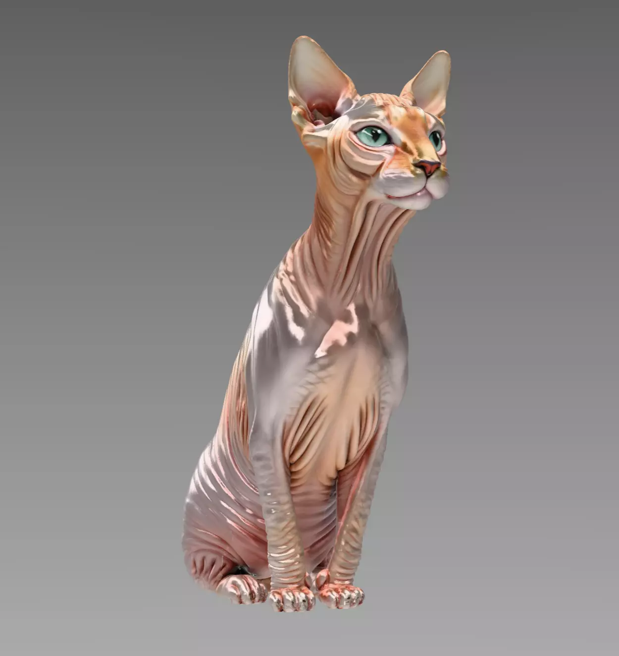 Sphynx Cat 3D model
