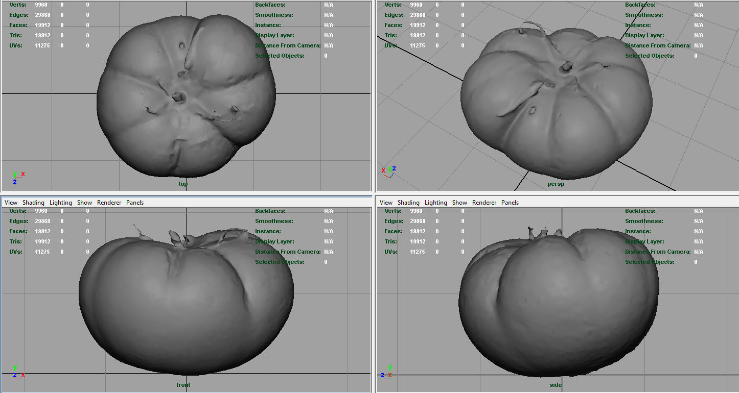 TOMATO 1 Low-poly 3D model_7