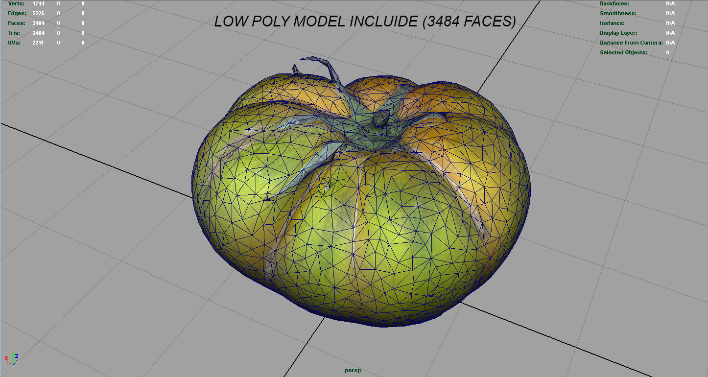 TOMATO 1 Low-poly 3D model_13