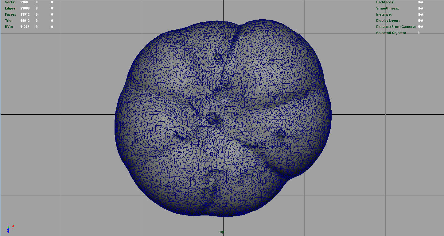 TOMATO 1 Low-poly 3D model_9